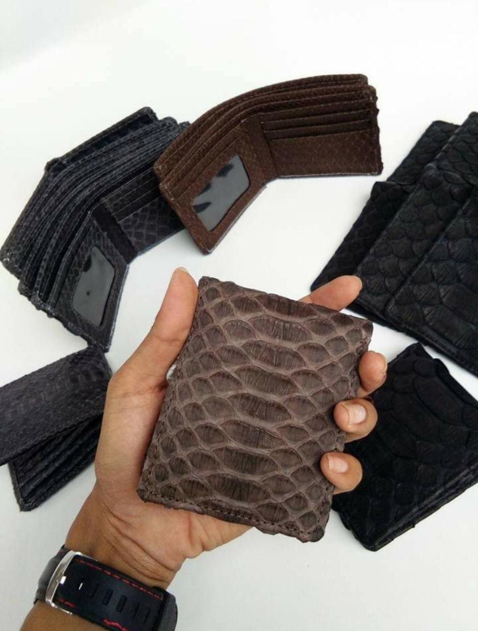 Anaconda Skin Men's Wallet-Stylish